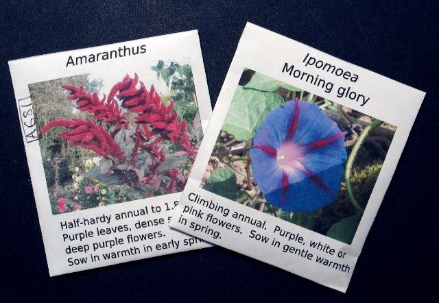 Completed seed packets